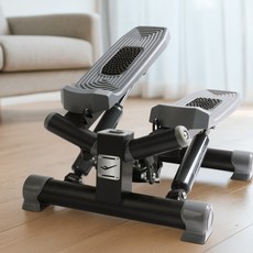 프로스펙스 트위스터 스텝퍼, 블랙 스포츠/레저/홈트레이닝 반품 최저가 54,420원