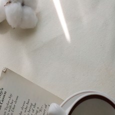 대폭 10수 선염면 에센셜 옥스포드 원단, 아이보리, 1개 홈인테리어/원단 반품 최저가 10,000원