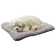 활성탄 리얼 동물장식 인형 BIG, 래브라도, 1개 자동차용품/인테리어 반품 최저가 10,560원