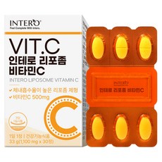 인테로 리포좀 비타민C 33g, 30정, 1개 헬스_건강식품/비타민/미네랄 반품 최저가 9,120원