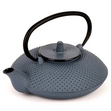 차세르 무쇠주물 티포트, 라이트블루, 0.7L, 1개 주방용품/주전자/커피/티용품 반품 최저가 42,430원