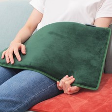 한양의료기 전기 온열 찜질기 맥반석 중형, 포레스트그린 헬스_건강식품/건강/의료용품 반품 최저가 22,120원