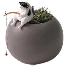 morningscent 피싱캣 미니화분 그레이 B TYPE + 활성탄 + 스칸디아모스 + 화산석 + 피싱캣피규어 랜덤발송 세트, 1세트 홈인테리어/원예/가드닝 반품 최저가 8,130원