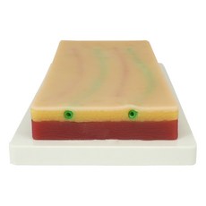 MWM 혈관 주사 실습용 실리콘 패드 완구/취미/학습완구/교구 반품 최저가 18,700원