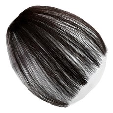 뿌이뿌이가발 인모 일자 앞머리, 자연블랙, 1개 뷰티/뷰티소품 반품 최저가 6,630원