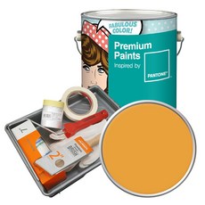 노루페인트 팬톤 내부용 실내벽면 저광 페인트 4L 세트, 15-1049 Artisan's Gold, 4000ml 홈인테리어/공구/철물/DIY 반품 최저가 45,850원