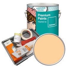 노루페인트 팬톤 내부용 실내벽면 저광 페인트 4L 세트, 13-1031 Apricot Sherbet, 4000ml 홈인테리어/공구/철물/DIY 반품 최저가 44,850원