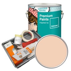 노루페인트 팬톤 내부용 저광 실내벽면페인트 세트, 12-1011 Peach Puree, 4L, 1개 홈인테리어/공구/철물/DIY 반품 최저가 61,360원