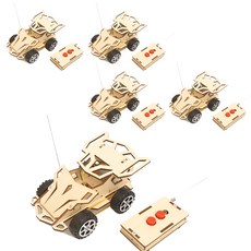 티처스 STEAM 과학교구 무선 조종 레이싱카 리모컨 DIY 조립제품 C-20A, 5세트 완구/취미/학습완구/교구 반품 최저가 37,280원