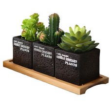 행복한마을 선인장화분 3개 + 나무받침, 1세트 홈인테리어/홈데코/디퓨저 반품 최저가 15,040원