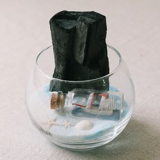 아스파시아 바다별빛 한가득 어항 숯 화분, 1개 홈인테리어/원예/가드닝 반품 최저가 11,430원