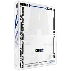 스트레이키즈 GO生 정규 1집 STANDARD VER 랜덤발송, 1CD 완구/취미/수집품 반품 최저가 13,520원