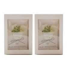 드라이 플라워 꽃다발 카드 포인트8, 그린, 2개 문구/오피스/카드/엽서/봉투 반품 최저가 4,860원