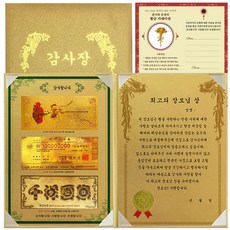 럭키심볼 어버이날 감사합니다 황금지폐 감사장 3종 세트 최고의 장모님상 + 황금카네이션 스티커, 1세트 문구/오피스/사무용품 전문관 반품 최저가 10,440원