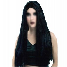 [할로윈소품] 귀신 가발 (긴생머리 가발), 1개 문구/오피스/파티/이벤트 반품 최저가 5,140원