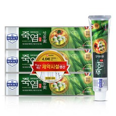죽염 잇몸고 치약, 120g, 3개 생활용품/구강/면도 반품 최저가 9,720원