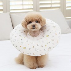 리토가토 오가닉 쿠션 강아지 넥카라 스윗가든 L, 1개 반려동물용품/고양이 용품 반품 최저가 19,250원