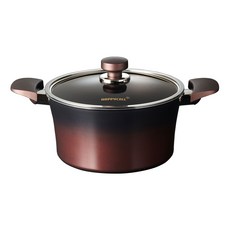 해피콜 인덕션 티타늄 냄비 양수 곰솥냄비, 24cm, 혼합색상, 1개 주방용품/찜솥/들통 반품 최저가 47,550원