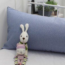 베드앤데코 쿨스킨 선염시어서커 등쿠션커버, 스카이 홈인테리어/침구 반품 최저가 11,470원