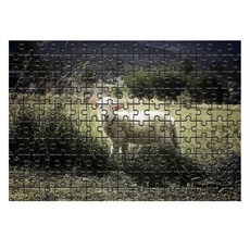 다모아 시험관퍼즐 울타리안양한마리, 150피스, 혼합 색상, 1개 완구/취미/퍼즐/큐브/피젯토이 반품 최저가 1,300원