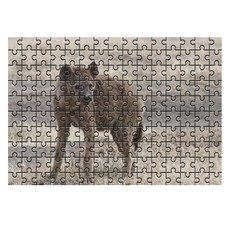 다모아 시험관퍼즐 들판위하이에나, 150피스, 혼합 색상, 1개 완구/취미/퍼즐/큐브/피젯토이 반품 최저가 8,710원