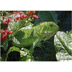 다모아 시험관 직소퍼즐 보호색을띈이구아나, 234피스, 혼합 색상, 1개 완구/취미/퍼즐/큐브/피젯토이 반품 최저가 4,550원