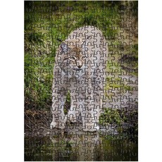 다모아 시험관 직소퍼즐 살쾡이, 234피스, 혼합 색상, 1개 완구/취미/퍼즐/큐브/피젯토이 반품 최저가 4,550원