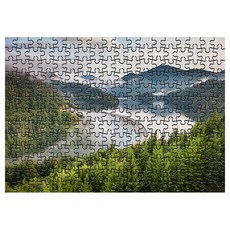 다모아 시험관 직소퍼즐 숲으로둘러쌓인다리, 234피스, 혼합 색상, 1개 완구/취미/퍼즐/큐브/피젯토이 반품 최저가 4,550원