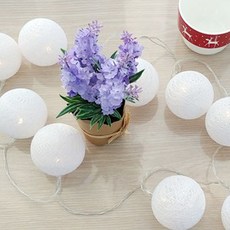 플랜룩스 레이스빈 LED 코튼볼 10구, 화이트, 1개 홈인테리어/조명/스탠드 반품 최저가 3,540원