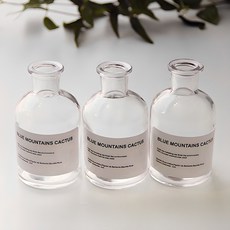 리버그린 시약병 좁은입구 3p 125ml, 투명 홈인테리어/홈데코/디퓨저 반품 최저가 5,200원