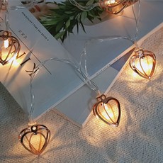 이플린 로즈골드 메탈 캠핑 차박 피크닉 LED 줄조명 10구 1.5M, 하트 홈인테리어/조명/스탠드 반품 최저가 11,380원