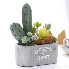 행복한마을 조화 제이크 가든 선인장, 혼합 색상, 1개 홈인테리어/홈데코/디퓨저 반품 최저가 10,950원