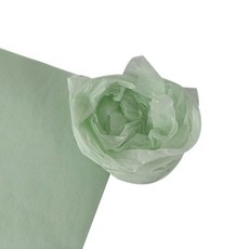 티나피크닉 선물포장 색화지 전지, 민트, 25개 문구/오피스/데코/포장용품 반품 최저가 7,540원