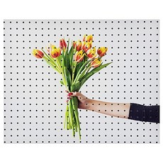 앤비커머스 인테리어타공판 꽃한손에 WHITE, 1개 문구/오피스/보드/칠판/광고 반품 최저가 20,600원