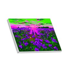 헬로페인팅 직접그리는 DIY 캔버스 도면 빨간꽃천국, 5, 1개 문구/오피스/미술/화방용품 반품 최저가 16,010원