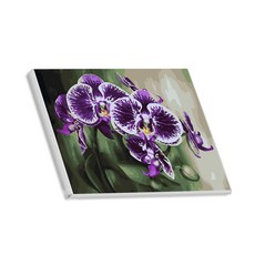 헬로페인팅 직접그리는 DIY 캔버스 도면 난초시리즈, 1, 1개 문구/오피스/미술/화방용품 반품 최저가 3,900원