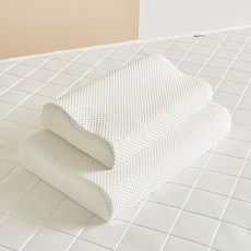 프로텍트어베드 알러씰 텐셀 메모리폼 베개 커버 홈인테리어/침구커버 반품 최저가 7,420원