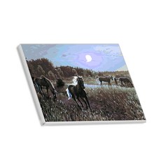 헬로페인팅 직접그리는 DIY 캔버스 도면 초원위의말, 02, 1개 문구/오피스/미술/화방용품 반품 최저가 3,900원