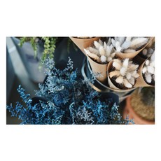 UVDS 주방 강화유리 아트보드 버들강아지, 1개 주방용품/주방잡화 반품 최저가 22,740원