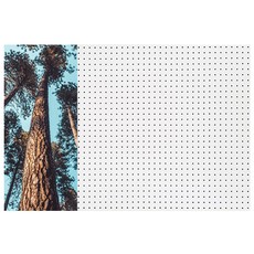 앤비커머스 인테리어 타공판 소나무 좌WHITE 900 X 600 mm, 1개, 혼합색상 문구/오피스/보드/칠판/광고 반품 최저가 27,710원