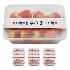 도나앤데코 PP내열 도시락용기 한칸 10p + 띠지스티커 화이트 사랑하는우리아들 도시락 10p, 1세트 주방용품/일회용품/종이컵 반품 최저가 7,180원