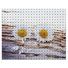 앤비커머스 떨어진꽃잎 인테리어 타공판 white, 1개 문구/오피스/보드/칠판/광고 반품 최저가 20,600원