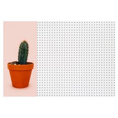 앤비커머스 인테리어타공판 헬로cactus 좌WHITE, 1개, 화이트 문구/오피스/보드/칠판/광고 반품 최저가 29,070원