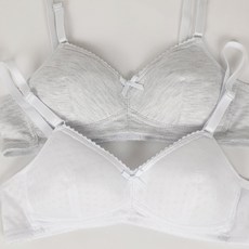 스윗웨어 여아용 주니어 항균 노와이어 브래지어 2종 세트 S123 출산/유아동/유아동패션 반품 최저가 5,820원