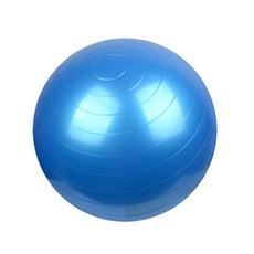 스포홀릭 다이어트 짐볼 + 펌프, 블루 스포츠_레저/헬스/요가/댄스 반품 최저가 4,020원