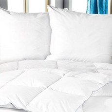 퀸제밀러 구스솜 거위털이불 웜, 화이트 홈인테리어/침구 반품 최저가 650,720원