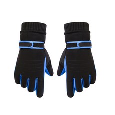 아리코 오토바이 라이더 벨크로 방한장갑, 블루 자동차용품/오토바이용품 반품 최저가 5,850원