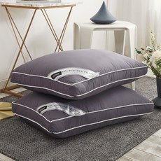 아임리빙 AG프리미엄 중량업 호텔용 나노 다운필 지퍼형 베개솜, 차콜, 2개 홈인테리어/수예/수선 반품 최저가 36,850원