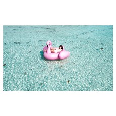 유브이디에스 아트보드 주방시트지 바다위에 떠있는 분홍 백조, 1개 주방용품/주방잡화 반품 최저가 52,300원