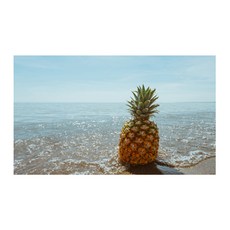 UVDS 아트보드 바다구경하는 파인애플, 1개 주방용품/주방잡화 반품 최저가 52,300원